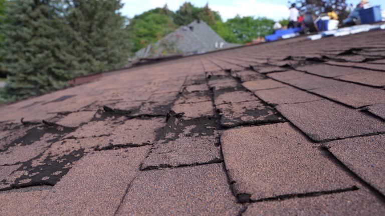 Cold Roofs in Kalkaska, MI