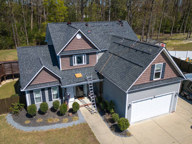 Best Roof Moss and Algae Removal  in Kalkaska, MI